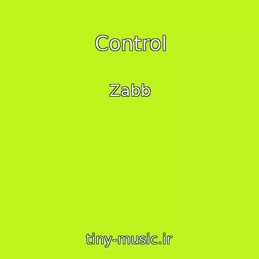 کاور آهنگ Control از Zabb