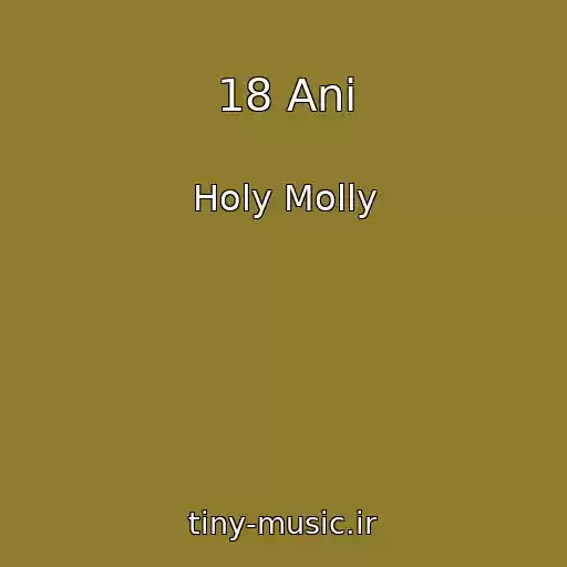 کاور آهنگ 18 Ani از Holy Molly