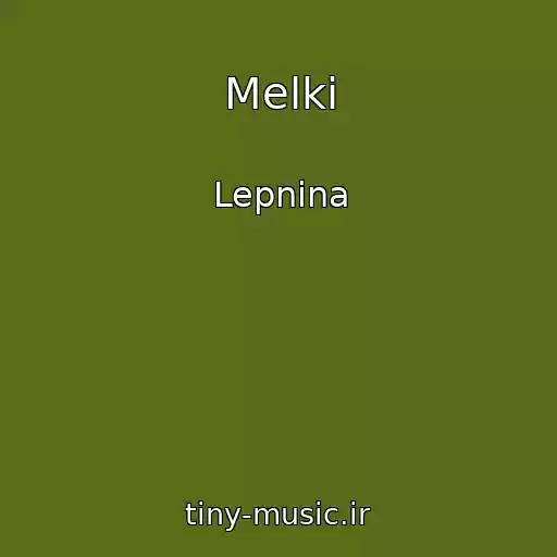 کاور آهنگ Melki از Lepnina