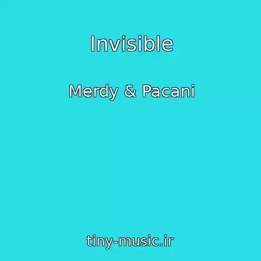 کاور آهنگ Invisible از Merdy & Pacani