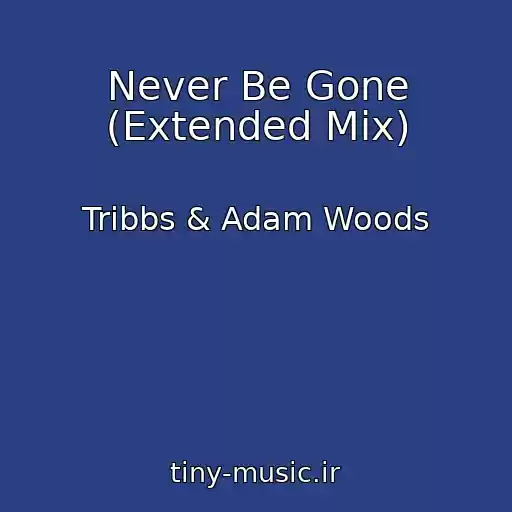 کاور آهنگ Never Be Gone (Extended Mix) از Tribbs & Adam Woods