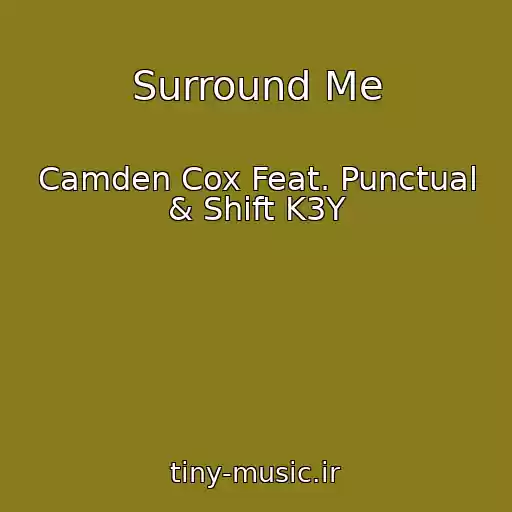 کاور آهنگ Surround Me از Camden Cox Feat. Punctual & Shift K3Y