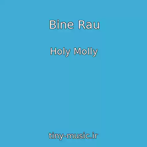 کاور آهنگ Bine Rau از Holy Molly