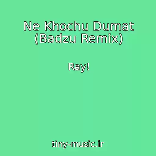 کاور آهنگ Ne Khochu Dumat (Badzu Remix) از Ray!