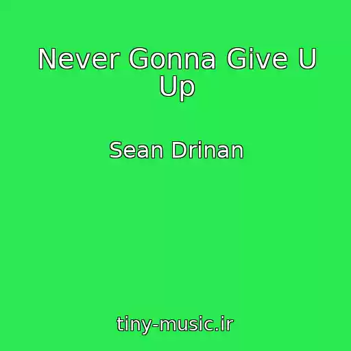 کاور آهنگ Never Gonna Give U Up از Sean Drinan