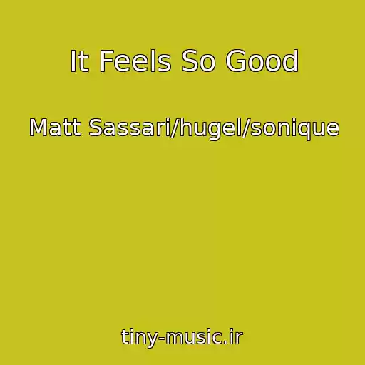 کاور آهنگ It Feels So Good از Matt Sassari/hugel/sonique
