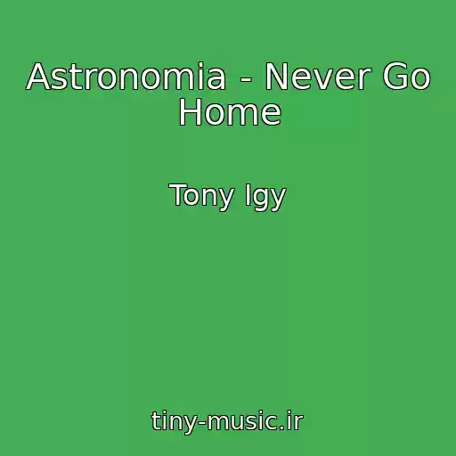 کاور آهنگ Astronomia - Never Go Home از Tony Igy