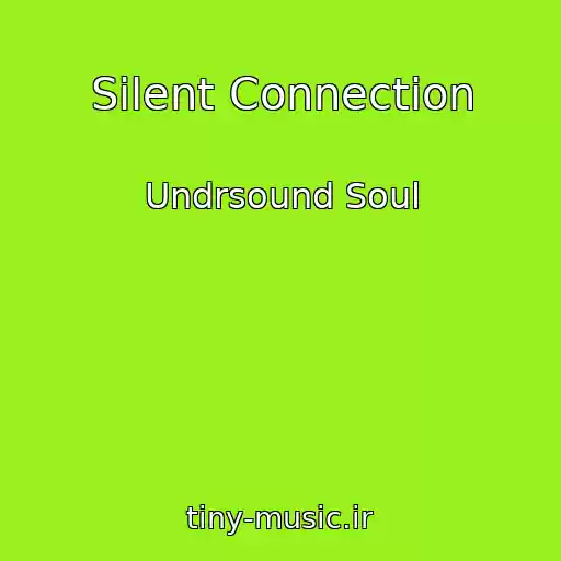 کاور آهنگ Silent Connection از Undrsound Soul