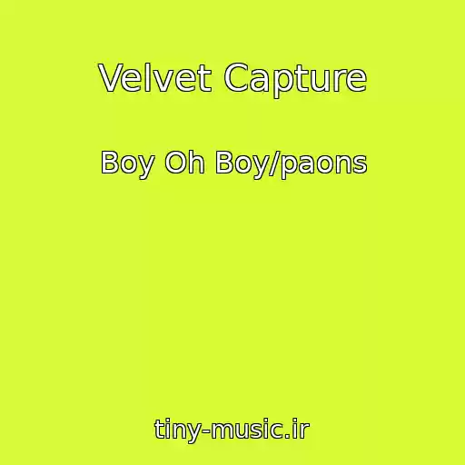 کاور آهنگ Velvet Capture از Boy Oh Boy/paons