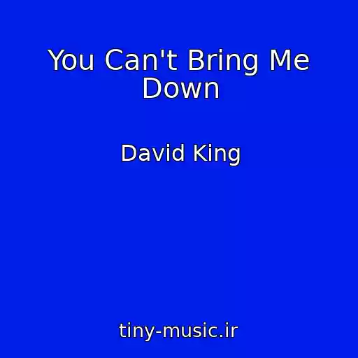 کاور آهنگ You Can't Bring Me Down از David King