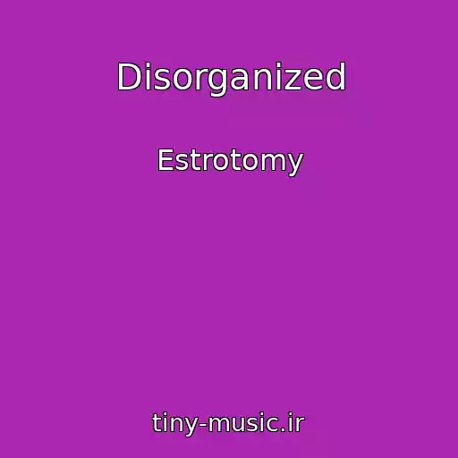 کاور آهنگ Disorganized از Estrotomy