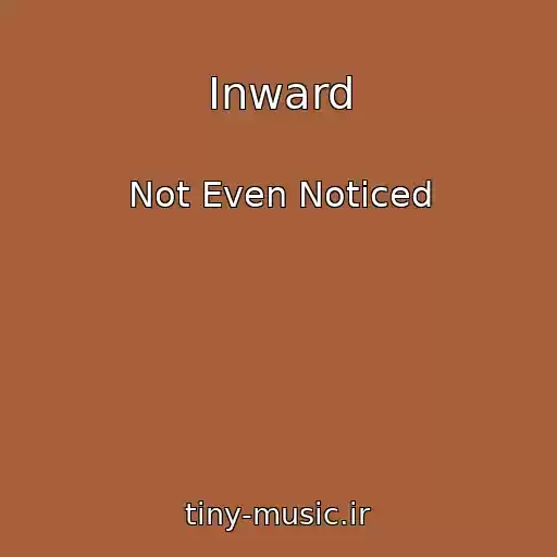 کاور آهنگ Inward از Not Even Noticed