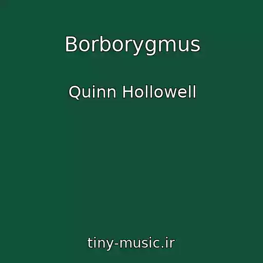 کاور آهنگ Borborygmus از Quinn Hollowell