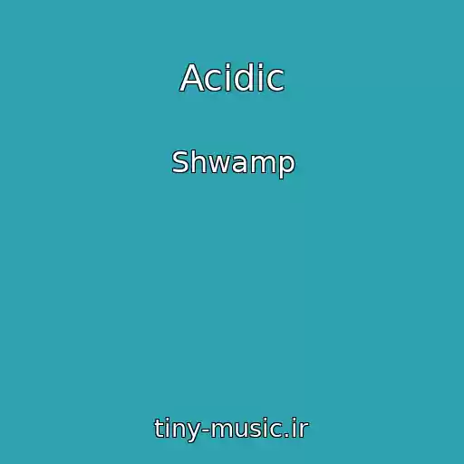 کاور آهنگ Acidic از Shwamp