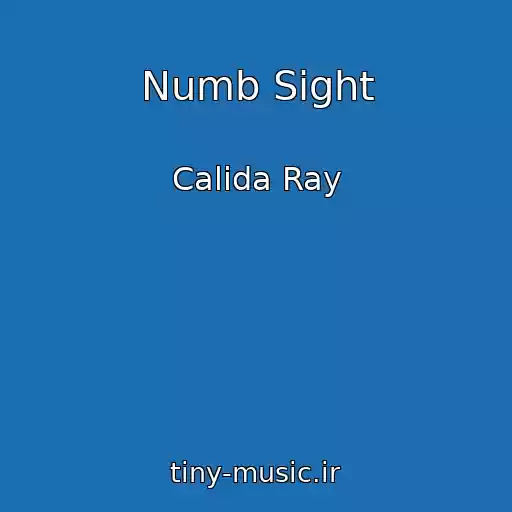 کاور آهنگ Numb Sight از Calida Ray