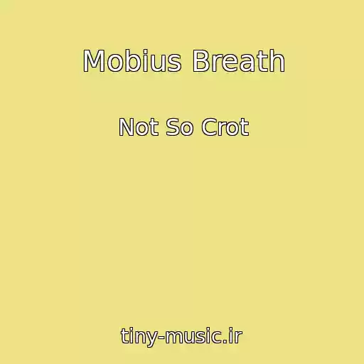 کاور آهنگ Mobius Breath از Not So Crot