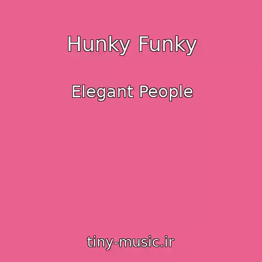 کاور آهنگ Hunky Funky از Elegant People