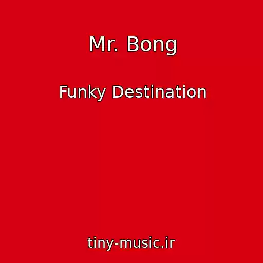 کاور آهنگ Mr. Bong از Funky Destination