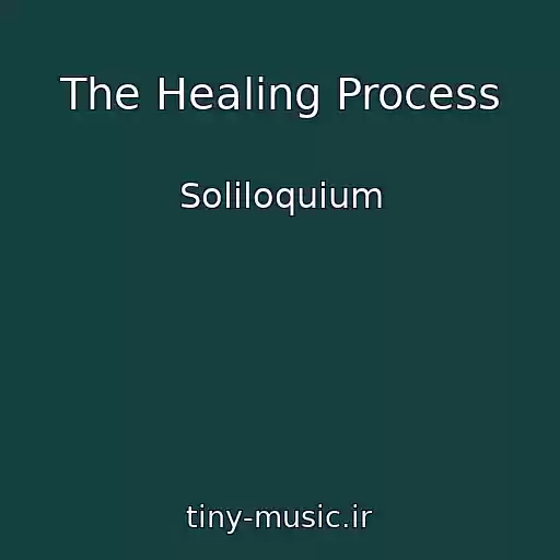 کاور آهنگ The Healing Process از Soliloquium