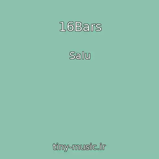 کاور آهنگ 16Bars از Salu