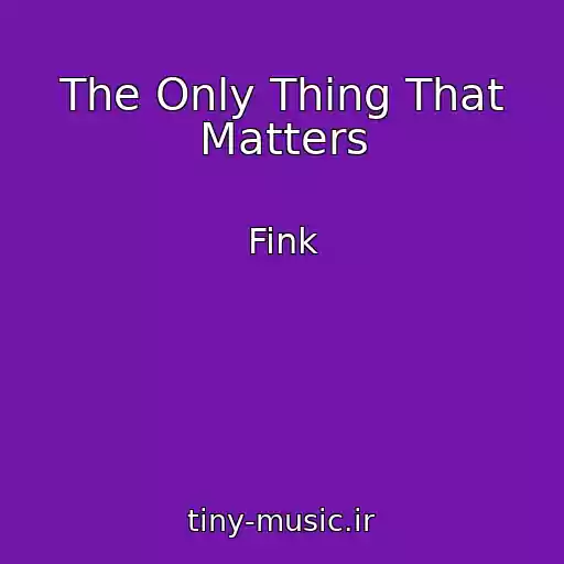 کاور آهنگ The Only Thing That Matters از Fink