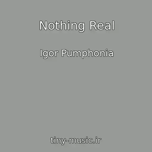 کاور آهنگ Nothing Real از Igor Pumphonia