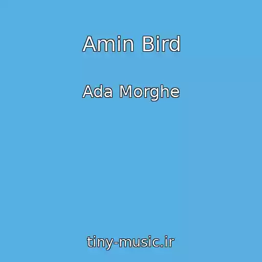 کاور آهنگ Amin Bird از Ada Morghe