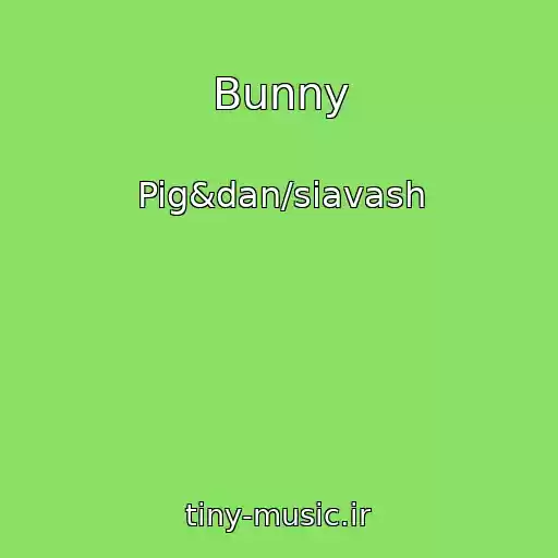 کاور آهنگ Bunny از Pig&dan/siavash