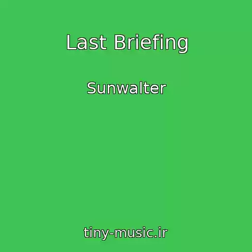 کاور آهنگ Last Briefing از Sunwalter