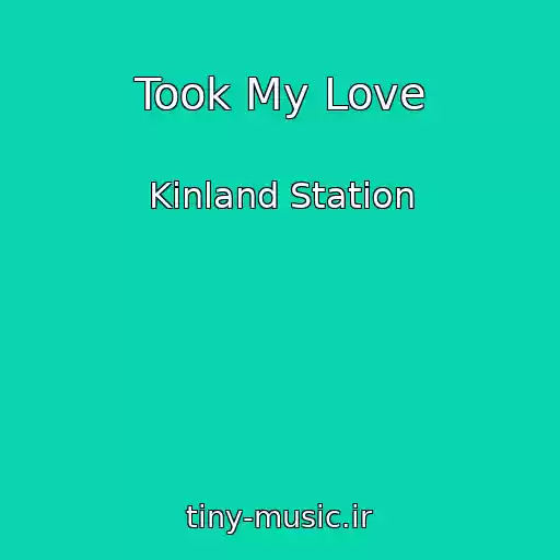 کاور آهنگ Took My Love از Kinland Station