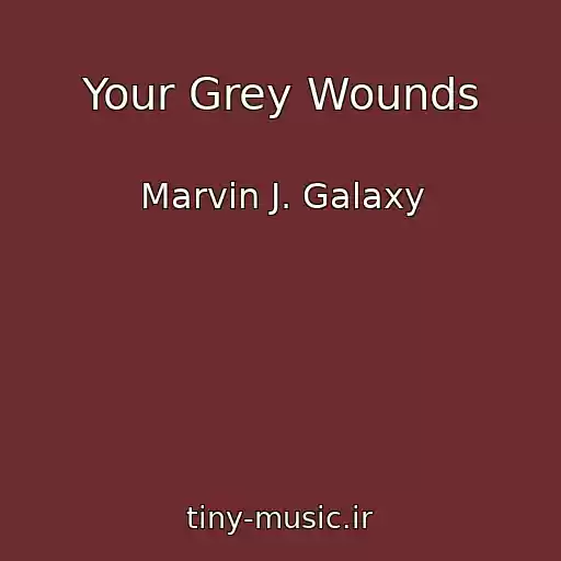 کاور آهنگ Your Grey Wounds از Marvin J. Galaxy