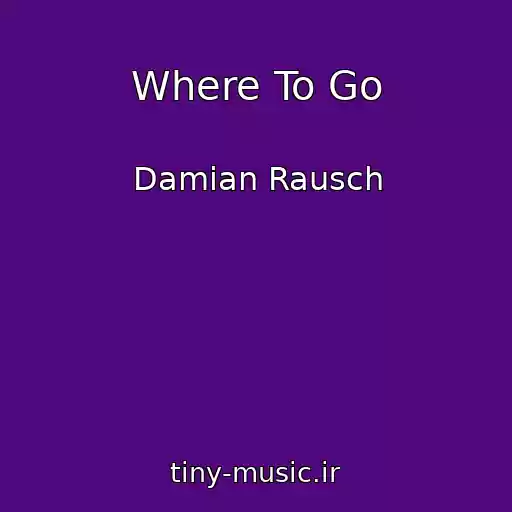 کاور آهنگ Where To Go از Damian Rausch