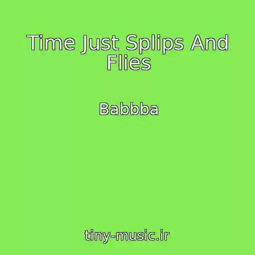 کاور آهنگ Time Just Splips And Flies از Babbba