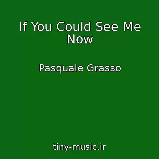 کاور آهنگ If You Could See Me Now از Pasquale Grasso