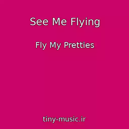 کاور آهنگ See Me Flying از Fly My Pretties