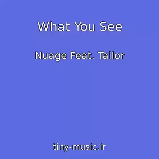 کاور آهنگ What You See از Nuage Feat. Tailor