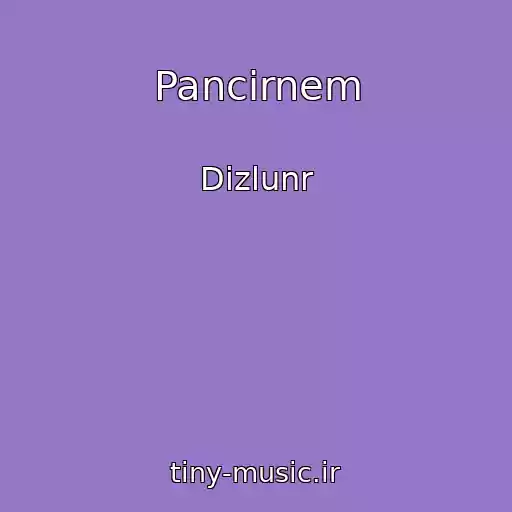 کاور آهنگ Pancirnem از Dizlunr