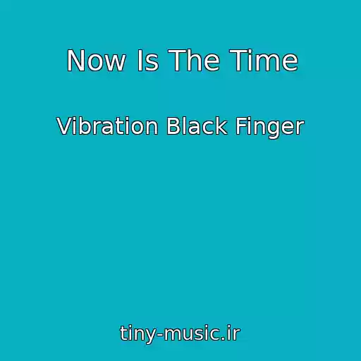 کاور آهنگ Now Is The Time از Vibration Black Finger