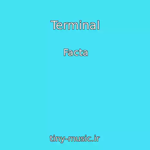 کاور آهنگ Terminal از Facta