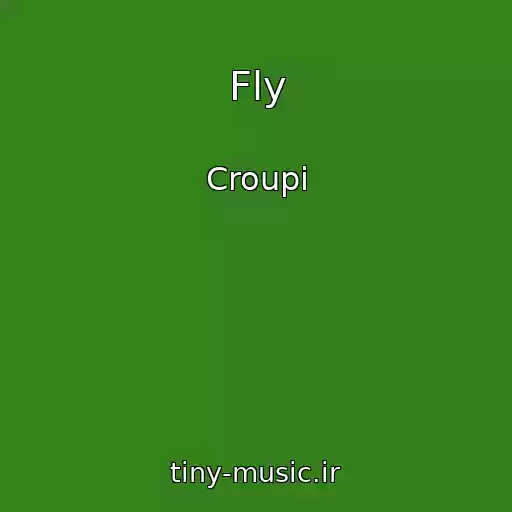 کاور آهنگ Fly از Croupi