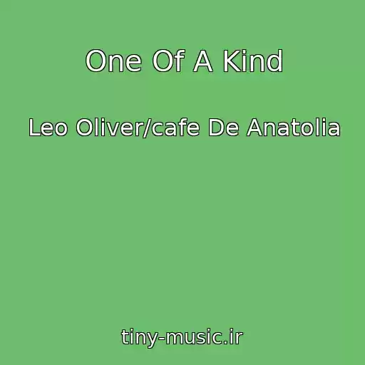 کاور آهنگ One Of A Kind از Leo Oliver/cafe De Anatolia