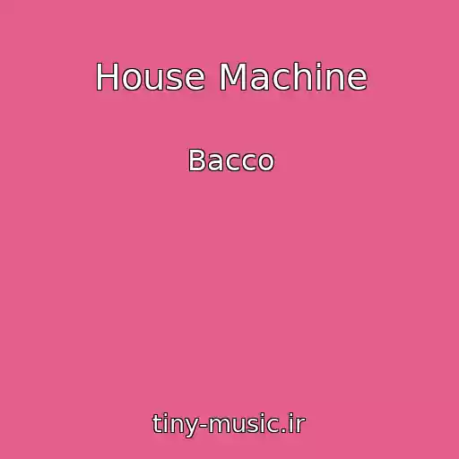 کاور آهنگ House Machine از Bacco