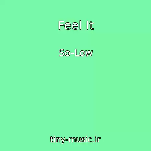 کاور آهنگ Feel It از So-Low