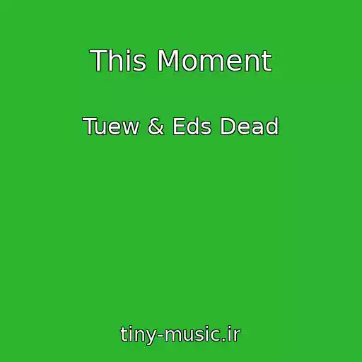 کاور آهنگ This Moment از Tuew & Eds Dead