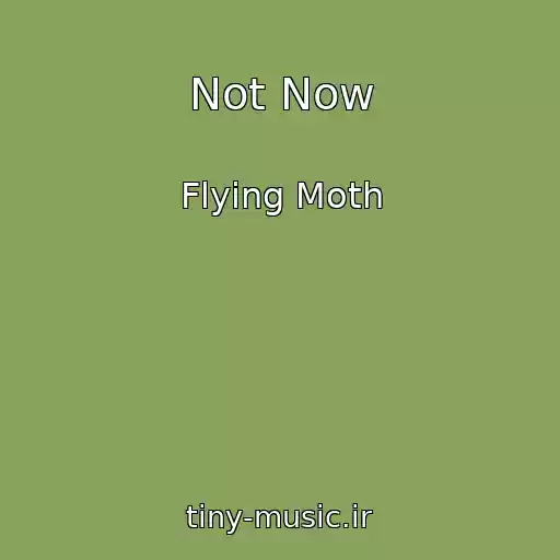 کاور آهنگ Not Now از Flying Moth