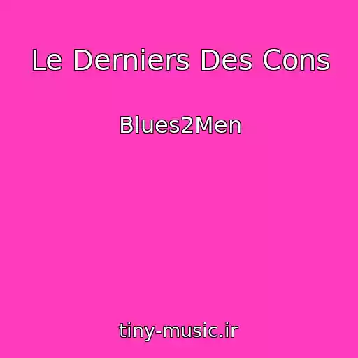 کاور آهنگ Le Derniers Des Cons از Blues2Men