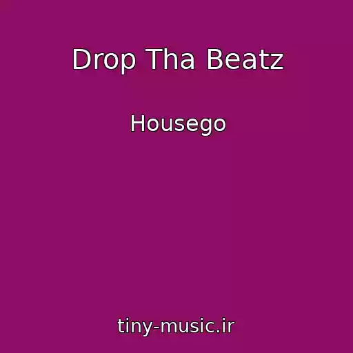 کاور آهنگ Drop Tha Beatz از Housego