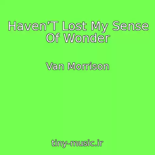 کاور آهنگ Haven’T Lost My Sense Of Wonder از Van Morrison