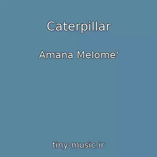 کاور آهنگ Caterpillar از Amana Melome'