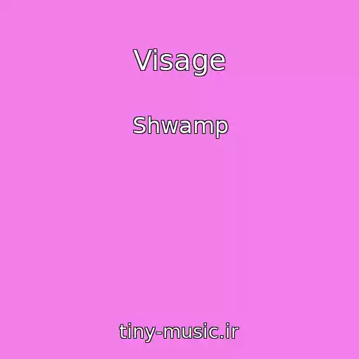 کاور آهنگ Visage از Shwamp